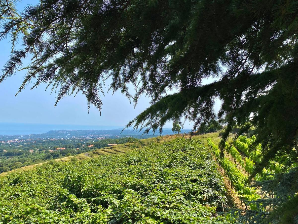 Tenuta Kiwi Dell'Etna Milo Bagian luar foto
