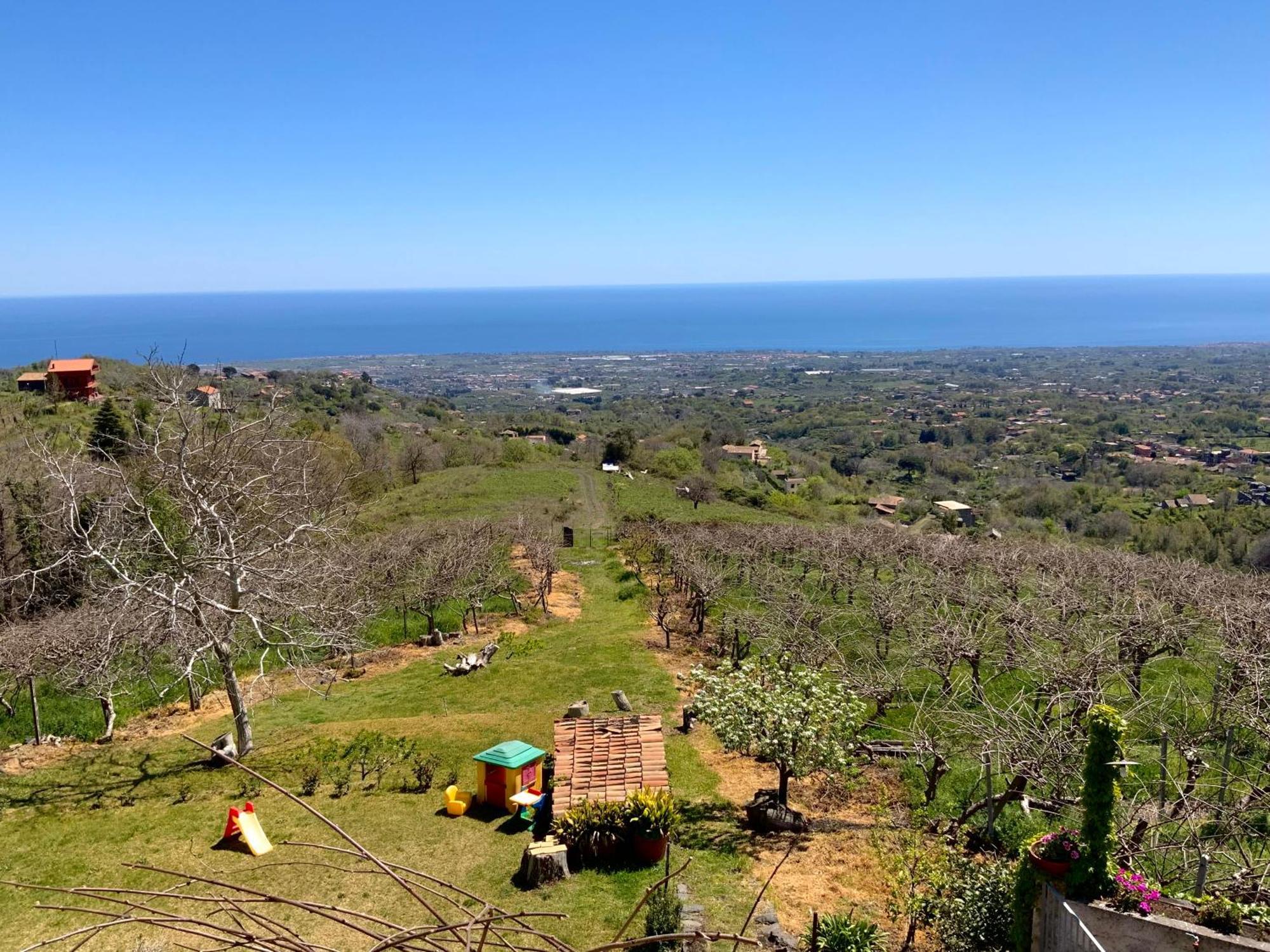 Tenuta Kiwi Dell'Etna Milo Bagian luar foto