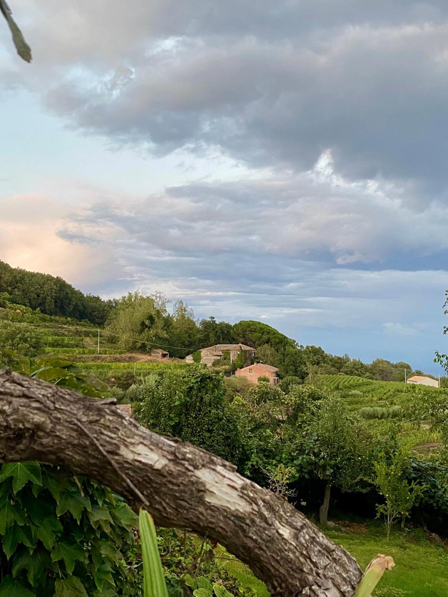 Tenuta Kiwi Dell'Etna Milo Bagian luar foto